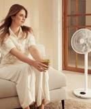 Duux Duux Whisper Flex 2 Smart Wit