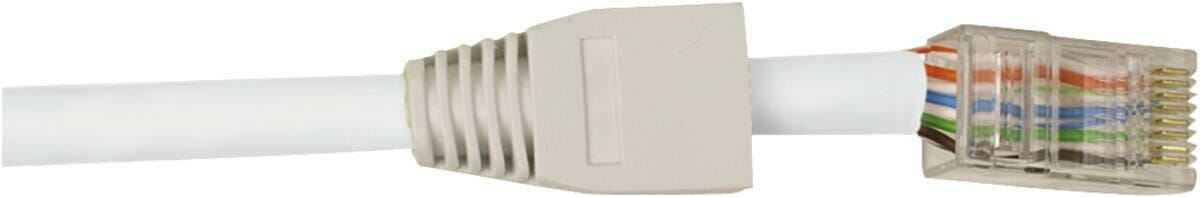 Hirschmann Hirschmann CAT 6 dataconnector RJ 45 met witte thule - 10 st