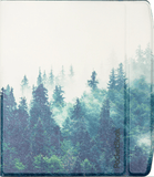 Pocketbook PocketBook Flip Mighty Forest Print for Era