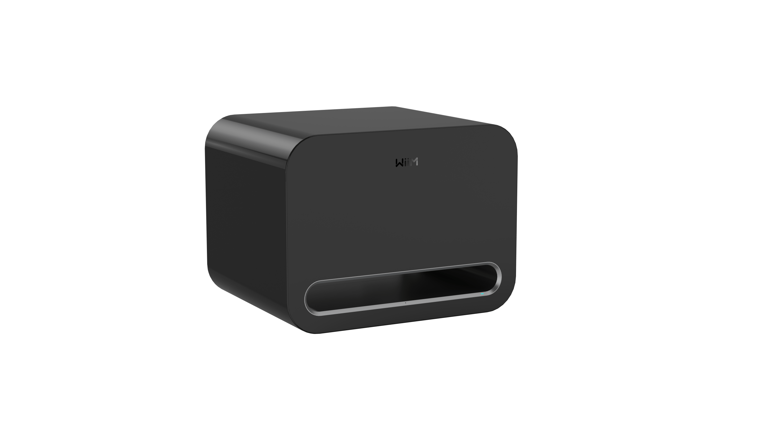 WiiM WiiM Sub Pro Black