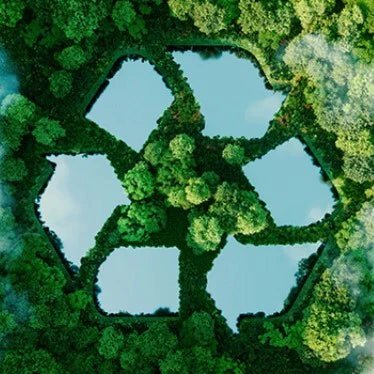 Op welke manier mijn koelkast recyclen?