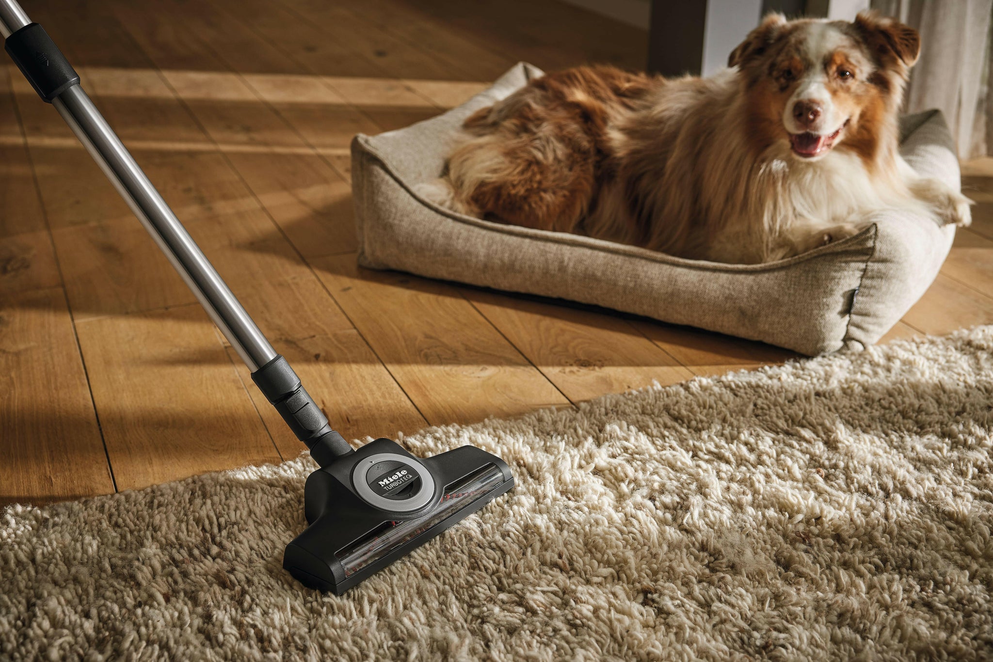 Miele Guard L1 Nordicblauw