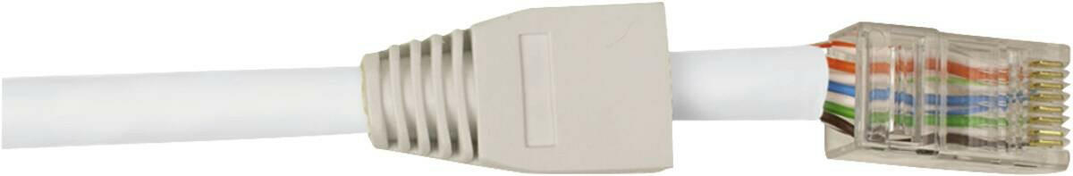 Hirschmann CAT 6 dataconnector RJ 45 met witte thule - 10 st.