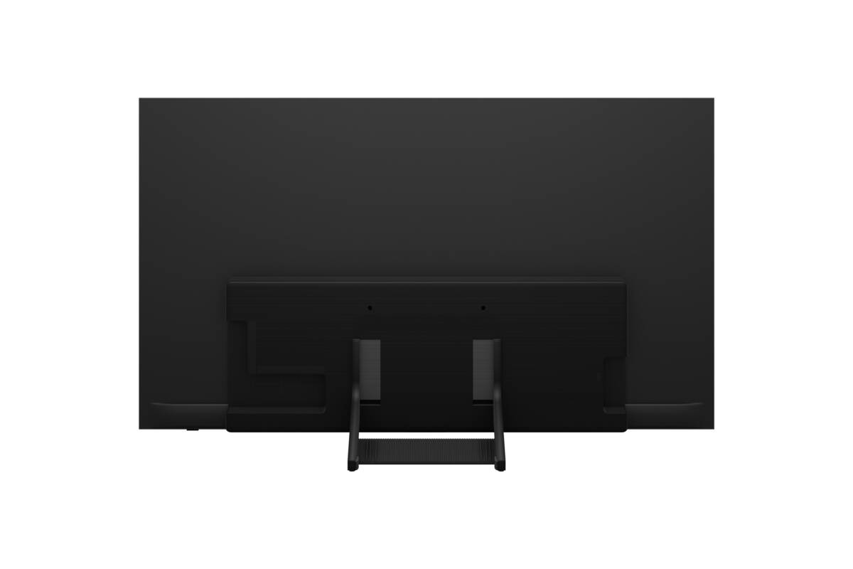 Samsung QE65S93HAEXXN
