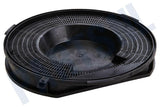 PELGRIM FILTER KOOLSTOF ROND 24CM