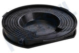 PELGRIM FILTER KOOLSTOF ROND 24CM