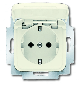 ABB Busch-Jaeger ABB Busch-Jaeger SI WCD Centraalplaat 16A 250V RA Glanzend