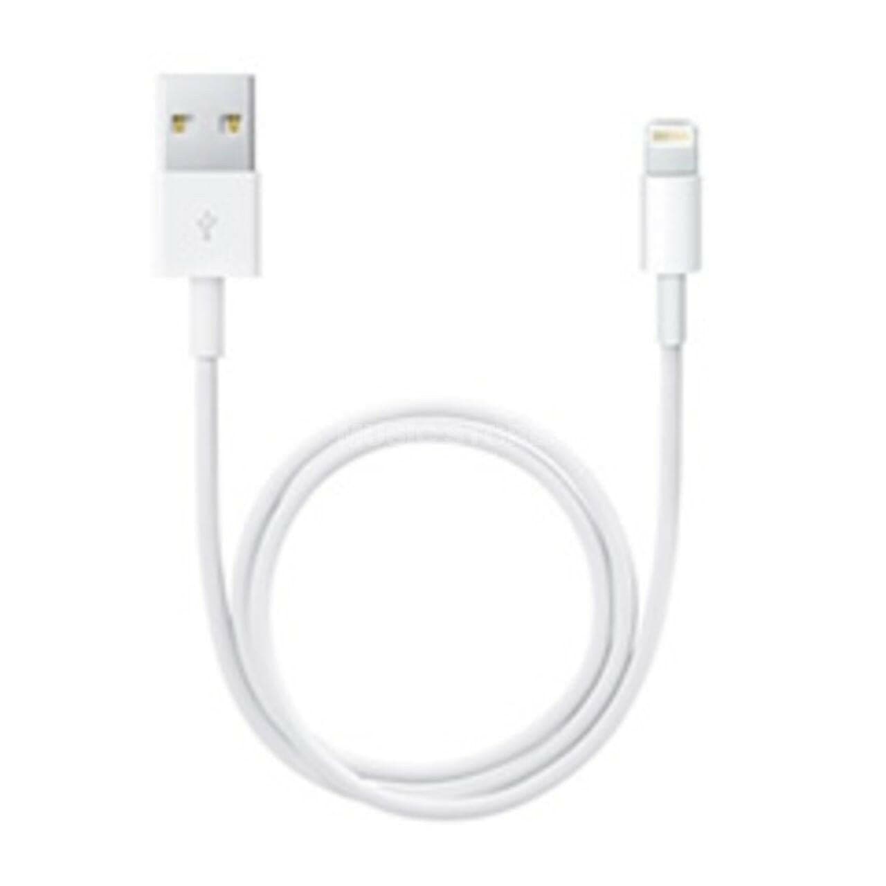 Apple Apple Lightning to USB Cable (0,5m)