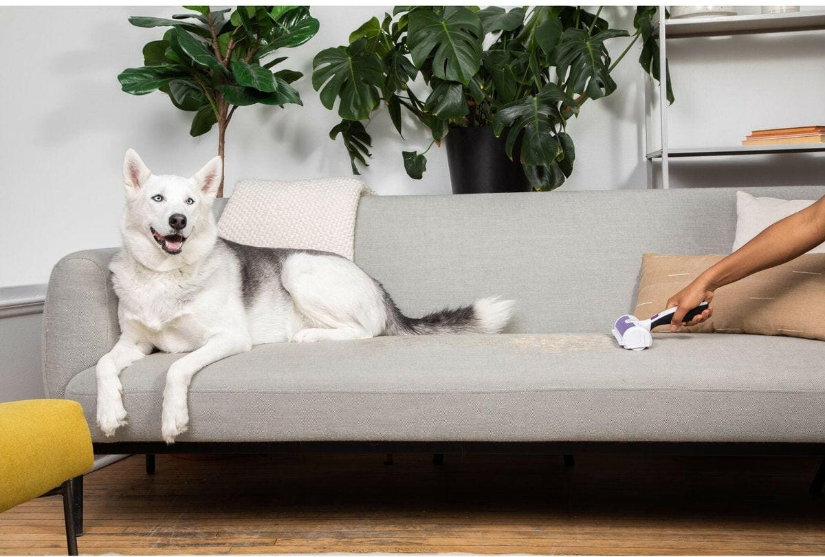 Black & Decker Black & Decker Pet Roller
