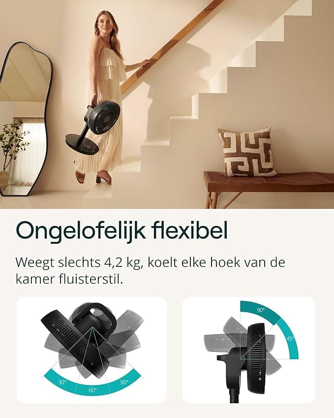 Duux Duux Whisper Flex 2 Smart Black