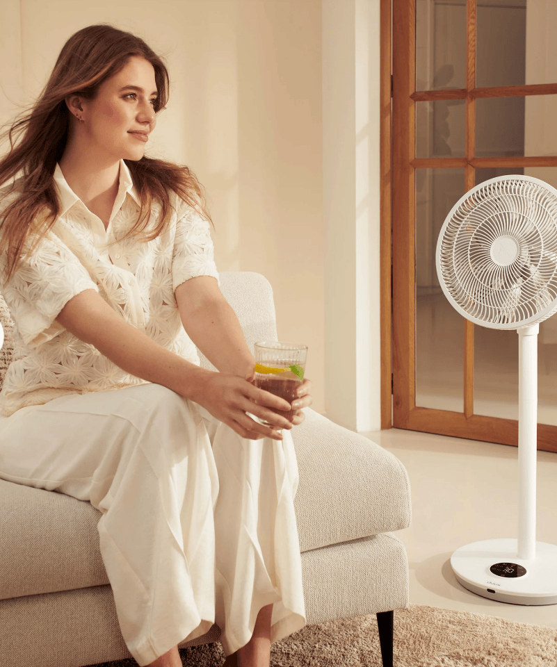 Duux Duux Whisper Flex 2 Smart Wit