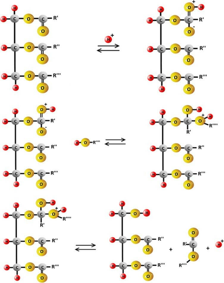 EP:Tummers 202 EUJR-212 BUS WCD RA 2V INB SI CRÈME