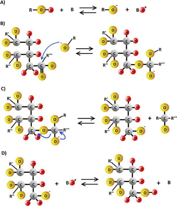 EP:Tummers 202 EUJR-212 BUS WCD RA 2V INB SI CRÈME