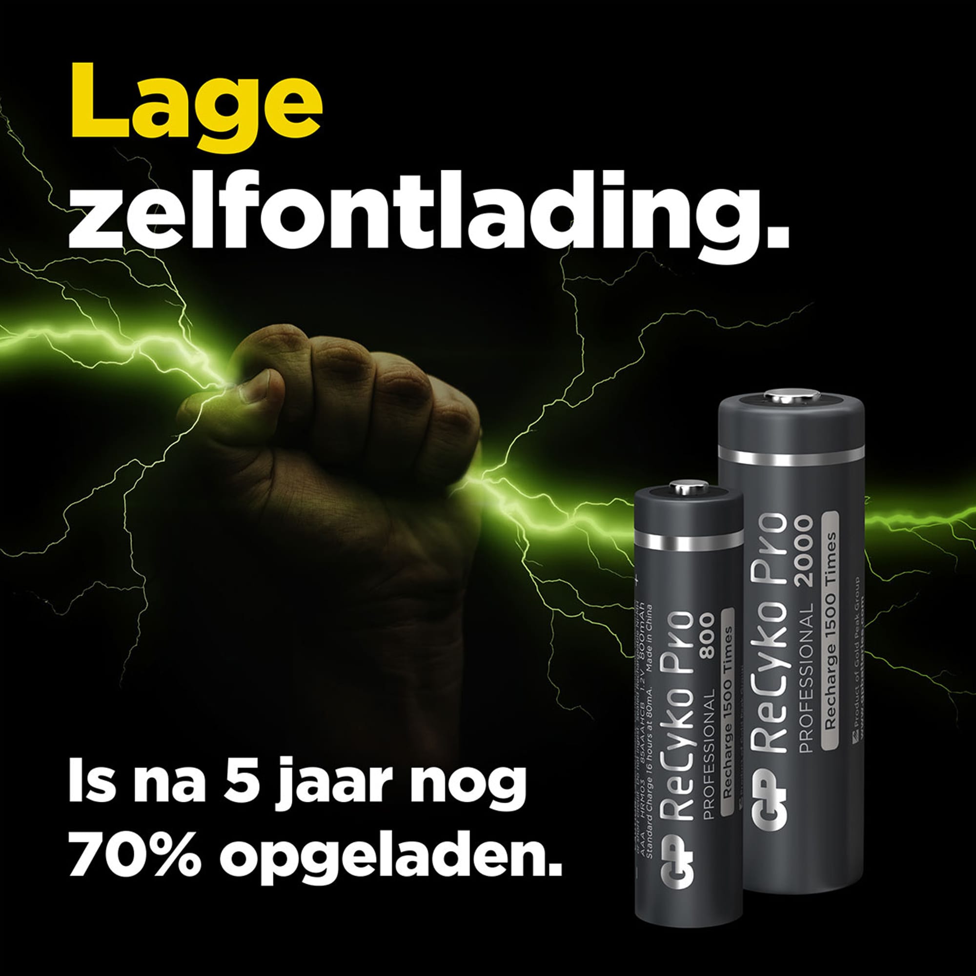 EP:Tummers GP OPL.BAT. PRO AA A4 2000MAH