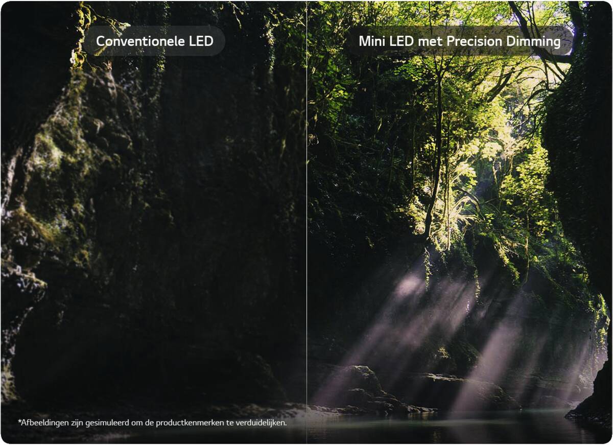 LG LG 100QNED87B6