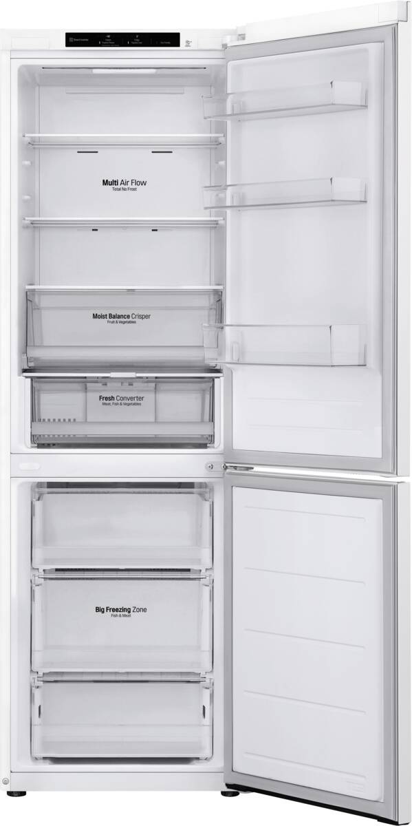 LG LG GBV3100CSW wit