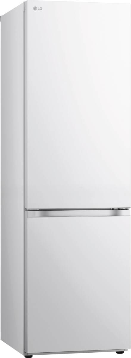 LG LG GBV3100CSW wit