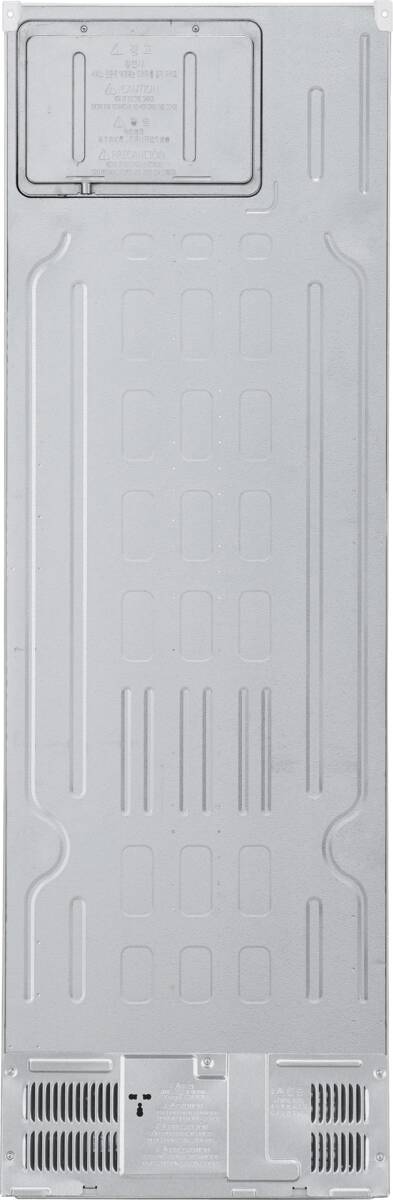 LG LG GBV3100CSW wit