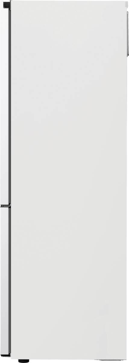 LG LG GBV3100CSW wit