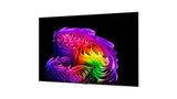 LG LG OLED77G67LW
