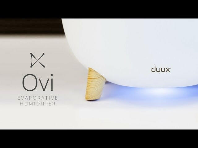 Duux Ovi wit.