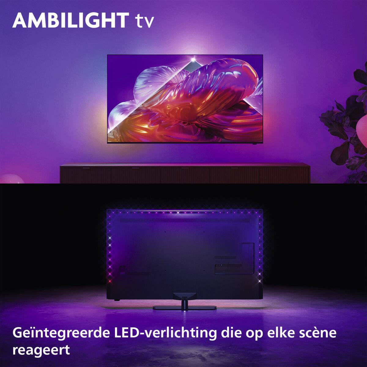 Philips Philips 50PQS9081/12