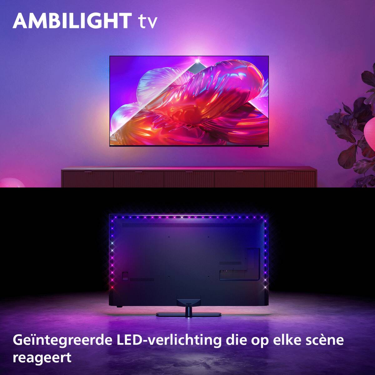 Philips Philips 65PQS9081/12
