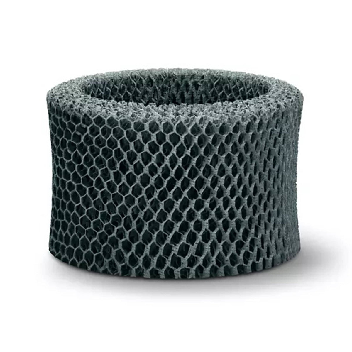 Philips Philips Bevochtigingsfilter FY2401/30