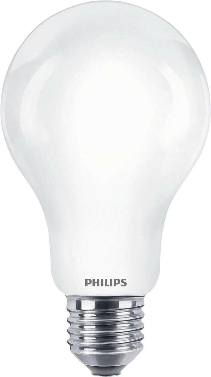 Philips Philips LED classic 120W A67 E27 WW FR ND SRT4