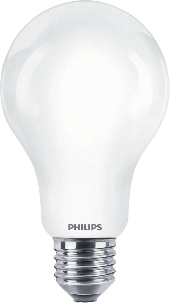 Philips Philips LED classic 150W A67 E27 WW FR ND SRT4