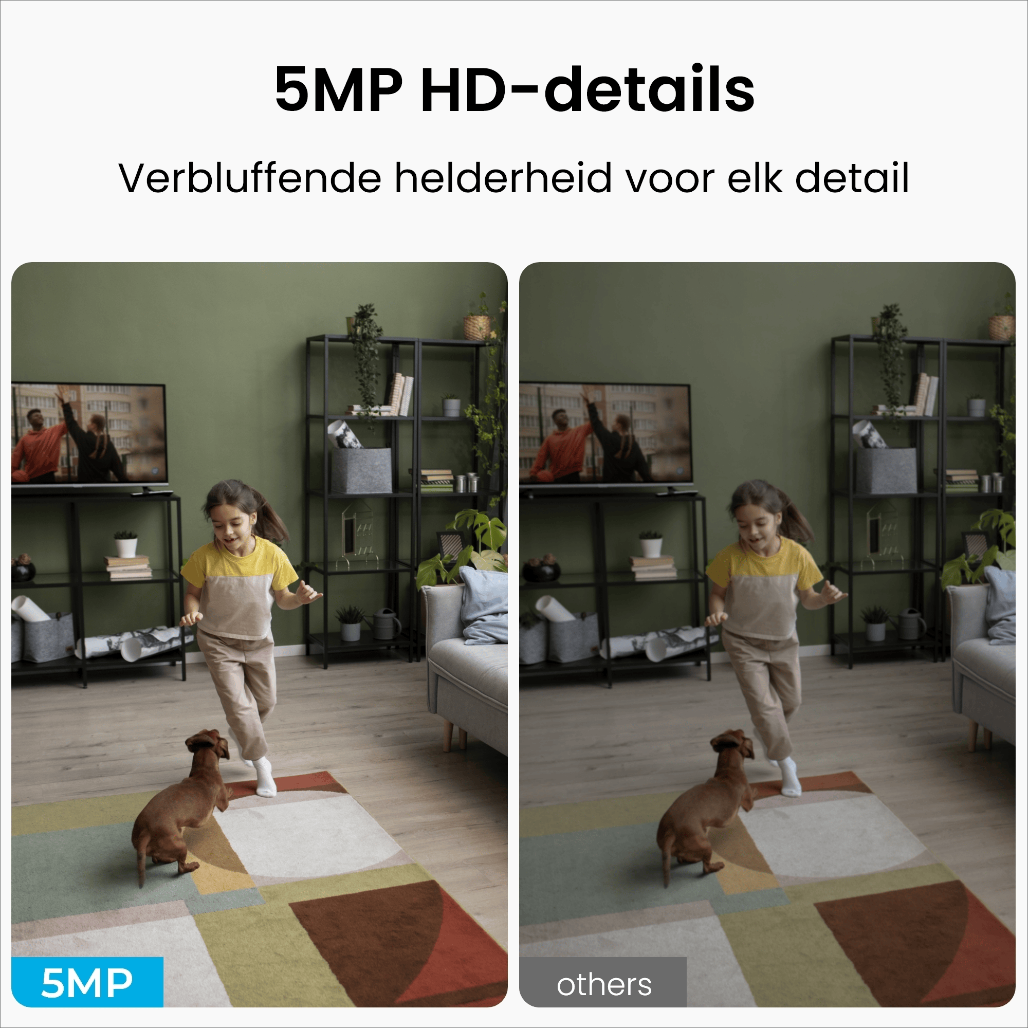 Reolink Reolink Indoor Cam E Series (E331)