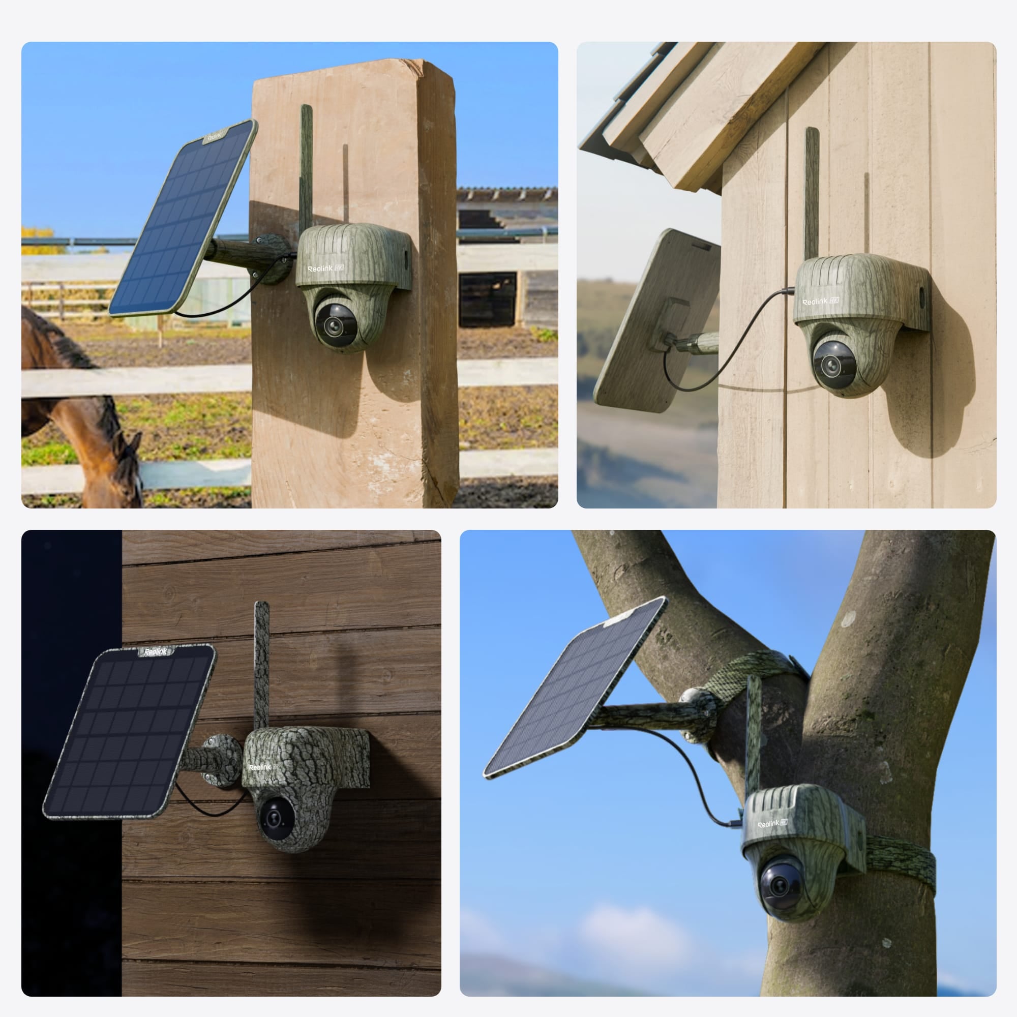 Reolink Reolink Outdoor Cam Go Series (G450) + Solar Panel