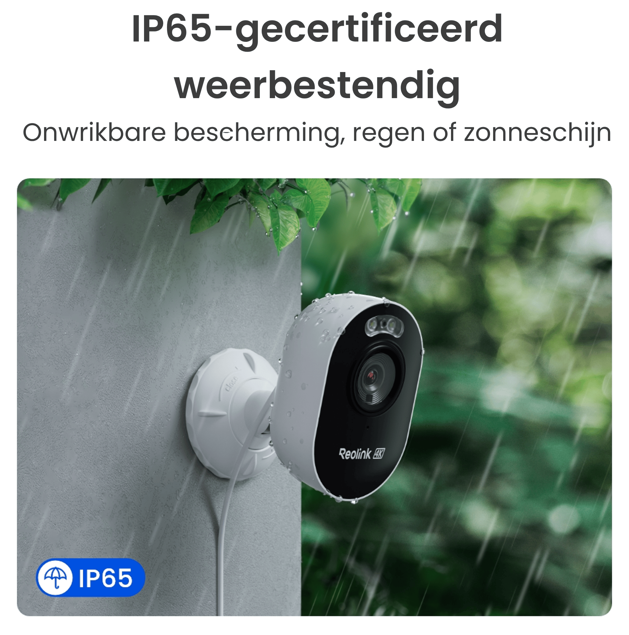 Reolink Reolink Outdoor Cam Lumus Series (E450)