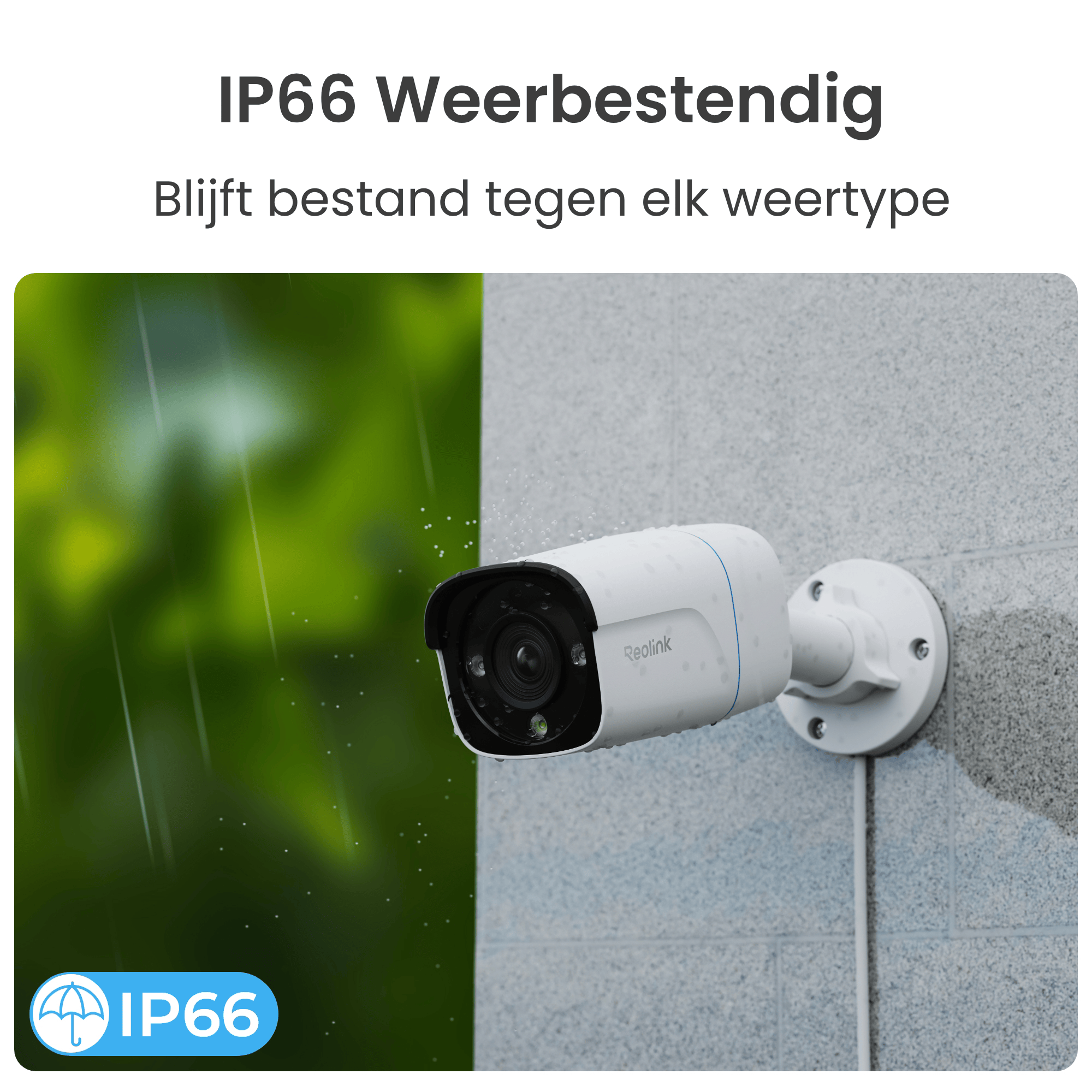Reolink Reolink PoE Cam (P330)