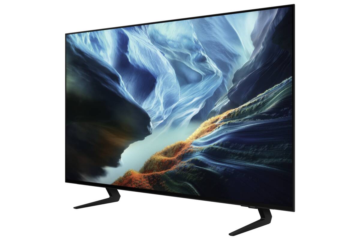 Samsung Samsung QE42S93HAEXXN