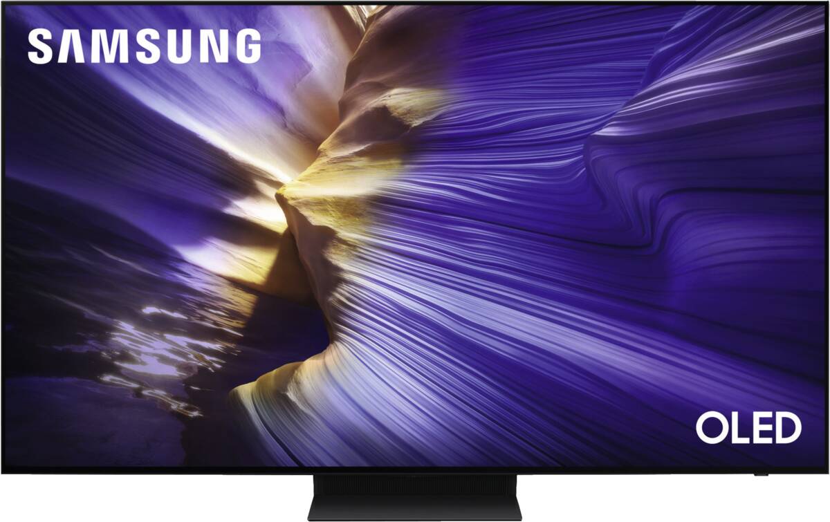 Samsung Samsung QE48S92FAEXXN