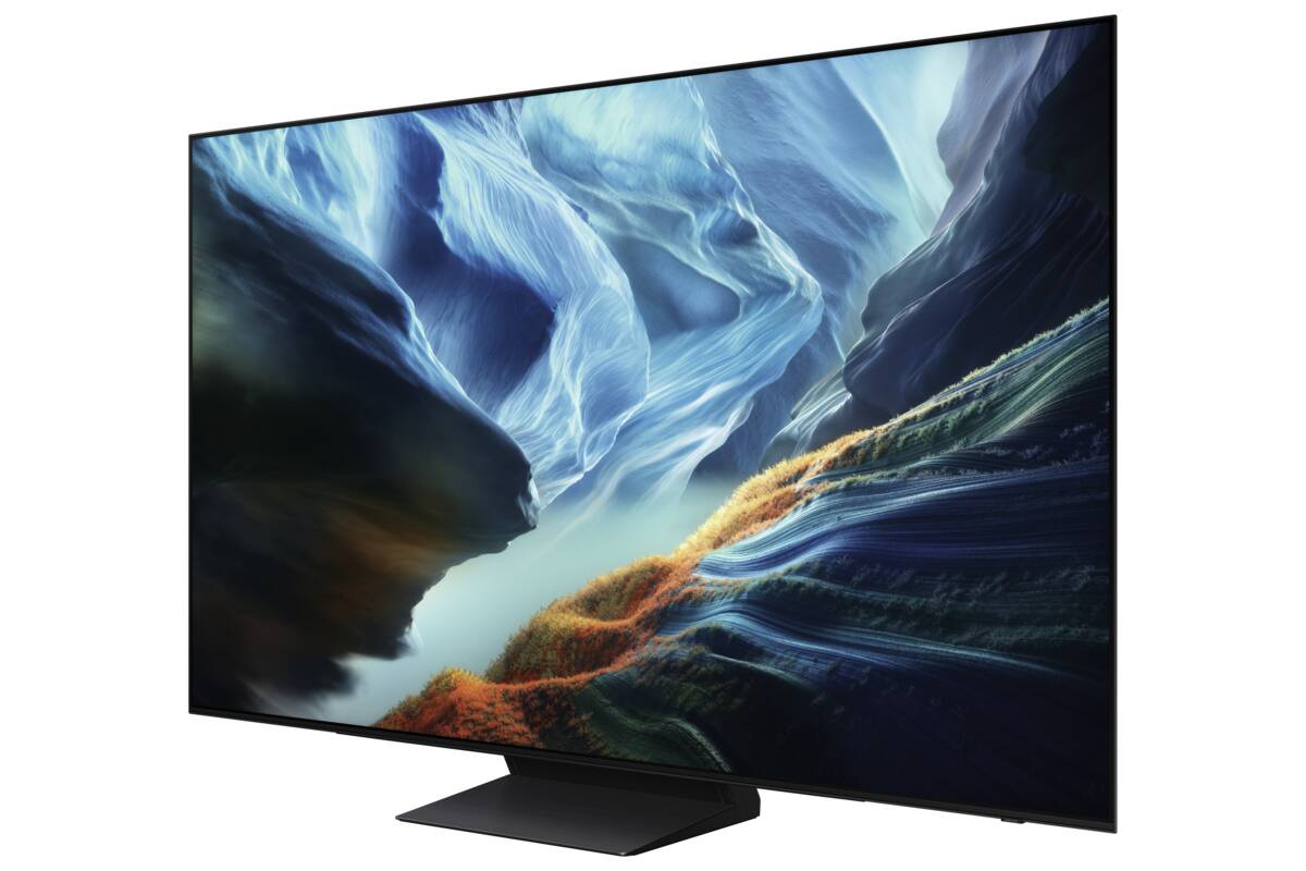 Samsung Samsung QE48S93HAEXXN
