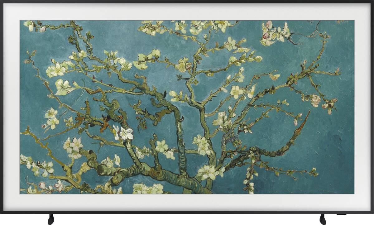 Samsung Samsung QE55LS03BGUXXN