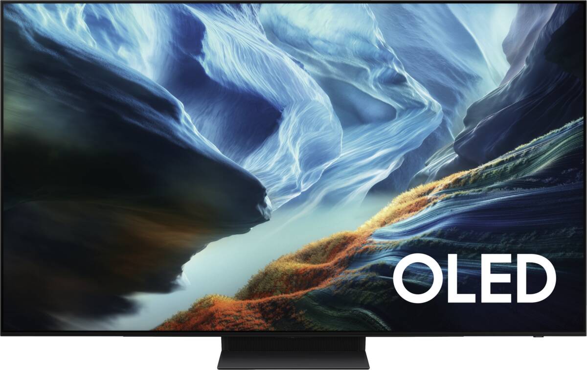 Samsung Samsung QE55S93HAEXXN
