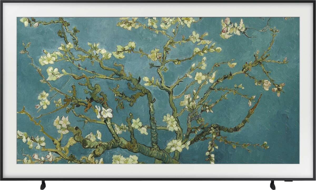 Samsung Samsung QE65LS03BGUXXN