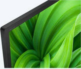 Sony Sony KD32W804P1AEP